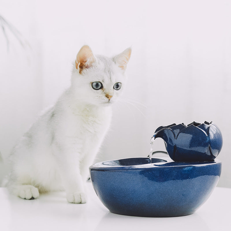 Circulating Pet Water Fountain